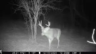 sc WI trail cam pick up 12/17/2025-1/26/2025