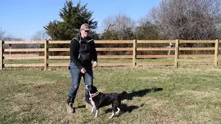 Duration of Sit and Down with Lucy