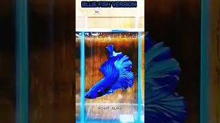 BLUE FISH VERSION ☠️💀🔥