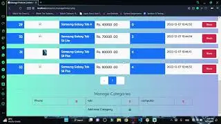 design a catagory registration modal