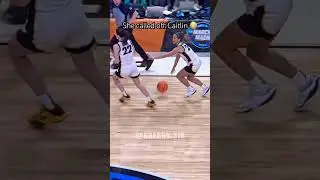 That time Gabbie Marshall called off Caitlin #wnba #basketball #caitlinclark