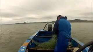 Mullet Fishing