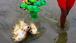 Unique Fish Trapping System With Plastic Battle And Hook.