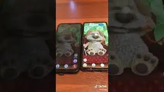 Ben(yes&copy;)(no&trade;)