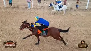 CORRIDA DE CAVALOS - FESTEJO BOCA DA MATA - PACARAIMA 2025 PART. 1 - RORAIMA