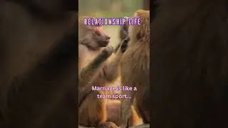 #animals #foryoupage #foryou #funnyvideo #fun #relationship #relationshiplife
