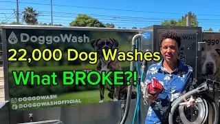 22,000 Dog Washes: what parts we had to replace (6 years later)