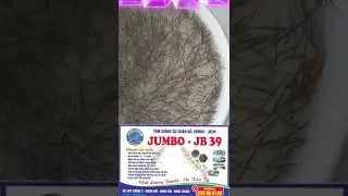 T&ocirc;m s&uacute; JUMBO-JB39 #tomsuchatluongcao #tomsu #suchando #nhanhlon #mientrung #ninhthuan #uytin