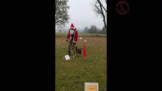 HSV Weihnachtsfeier  vom 13.12.2025