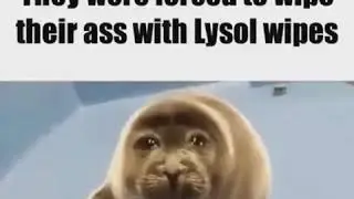 they were forced to wipe their ass with lysol wipes