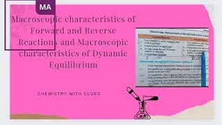 Macroscopic characteristics of Dynamic Equilibrium|10 class chapter 1|