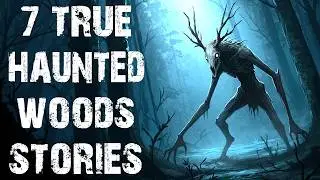 7 True Terrifying Haunted Woods Scary Stories | Real Deep Woods Horror Stories To Fall Asleep To