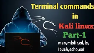 Kali Linux Basic Commands |Ethical Hacking|Termux|Malayalam|