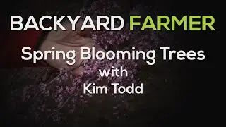 Spring Blooming Trees 2021