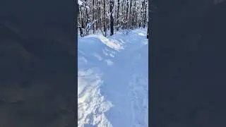 SNOW IS CRUNCHING IN MOSCOW FOREST PARK. ХРУСТ СНЕГА В МОСКОВСКОМ ЛЕСОПАРКЕ.
