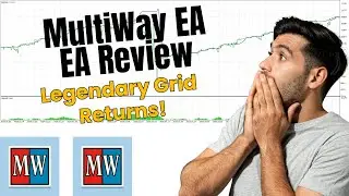 MultiWay EA Expert Advisor Review - Just Another Grid?