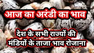 castor seeds,arandi bhav