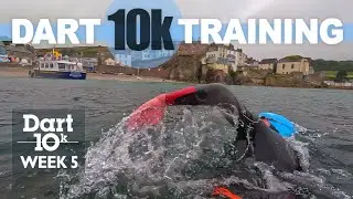River Dart 10k Swim Training Week 5 | Threshold Pace and Stroke Rate