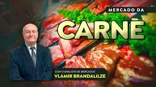 Escalas curtas mant&eacute;m pre&ccedil;os do boi firmes no mercado brasileiro