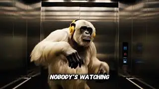 Dance Like Nobody&rsquo;s Watching - White Chimp's Vlog - Inspirational Chimpanzee