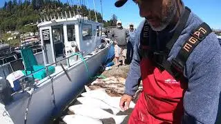 Halibut La Push Washington