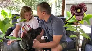 Botany for Kids - [Episode 28] Pawpaws: America&rsquo;s largest native fruit.