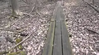 Boardwalking thru the Seneca Trail