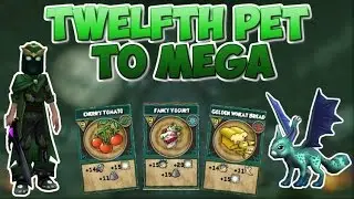 Wizard101: Training My Twelfth Pet To Mega!