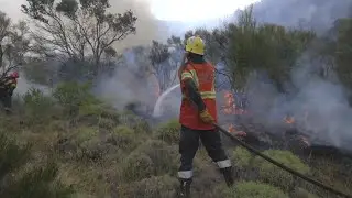 Brigadistas combaten incendios que arrasaron 60 mil hectáreas en Patagonia argentina | AFP