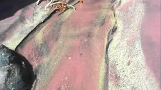 Purple Sand Beach with waterfall
