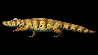 Voay robustus: The Extinct Horned Crocodile of Madagascar