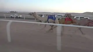 ٢-مغادر لـ صالح حمدان الحويطي
