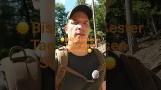 ☀️Bisher hei&szlig;ester Tag f&uuml;r diesen Sommer. Ich bin im Wald 🥵