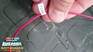 Gravity Auto Parts : LENLOOM LITE 4Cylinder Denso Plug Loom for Spitronics