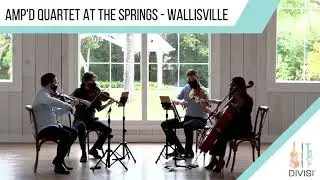 &ldquo;Isn&rsquo;t She Lovely&rdquo; - Stevie Wonder (String Quartet Cover)