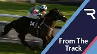 Chatham Street Lad DEMOLISHES Caspian Caviar Gold Cup rivals by 15 lengths at Cheltenham