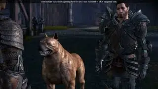 Dragon Age Awakening   7. Ser Gilmore and his dog.