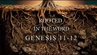 Rooted in the Word: Genesis 11-12