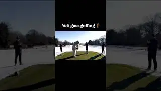 yeti goes golfing👹  #MonkeyVlog #MotuMonkey #FunnyMonkey #CuteAnimals #AnimalShorts #EmotionalMonkey