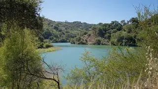 What Stevens Canyon trail looks like on a lovely summer day :) Nikon Z9 4K N-Raw with N-Log