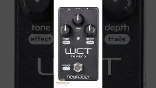 Neunaber Audio | WET V5 #SHORTS #reverb #pedal #digital