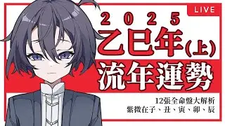 2025乙巳年流年詳細運勢分析（上）｜紫微斗數12張命盤全解析｜天干乙干｜地支巳支｜紫微在子｜紫微在丑｜紫微在寅｜紫微在卯｜紫微在辰