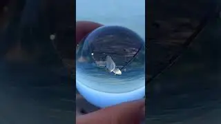 🦢 Balaton, hatty&uacute;k, lensball