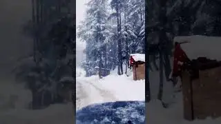 Ushu Forest Kalam Live Snowfall | #shorts