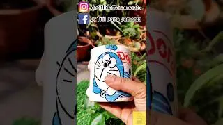 Don't Throw Away Broken Cup | Reuse Broken Cup | Coin Plant Propagation | #shorts  | #youtubeshorts