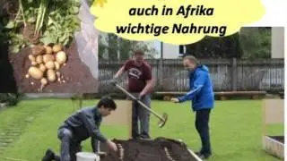 Bl&uuml;hendes Afrika LFS Pyhra