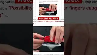 The 