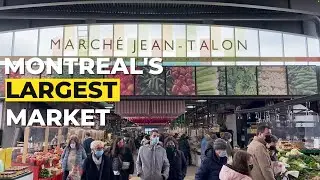 JEAN TALON MARKET WALKING TOUR |MONTREAL'S LARGEST MARKET | CANADA VLOG