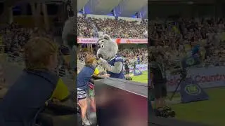 Bluey the Cowboys mascot ready to entertain the crowd. #cowboys #nqcowboys #silverbullion #stacking