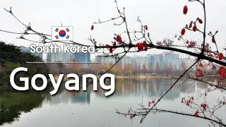 【Goyang】 Travel Guide - ILSAN Lake Park + Flower fair│Korea Travel │Asia Travel│ Travel at home